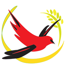 madaglad logo final
